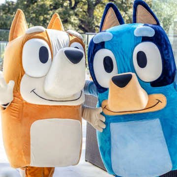 Bluey or Bingo